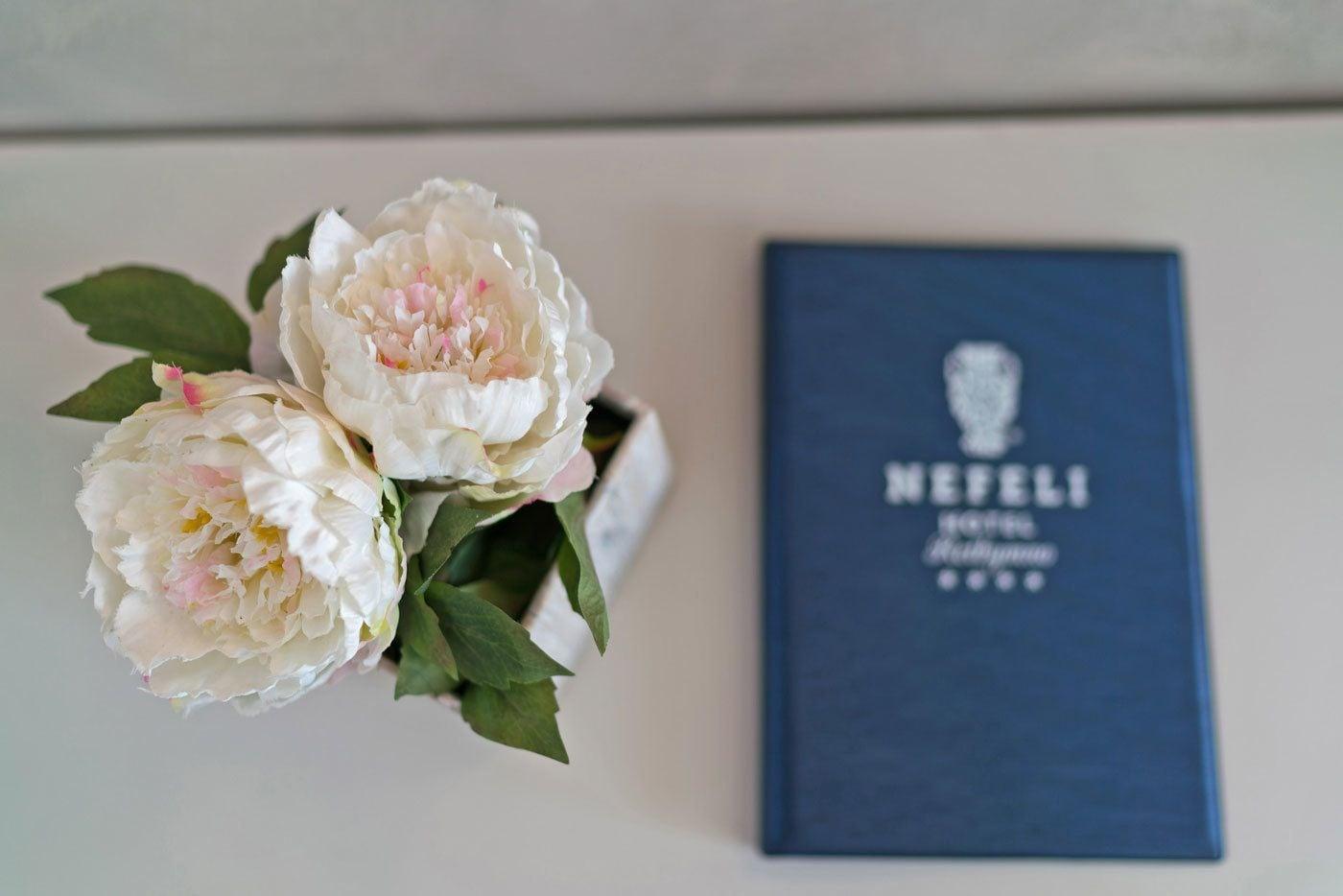 Nefeli Hotel Платанес Екстериор снимка